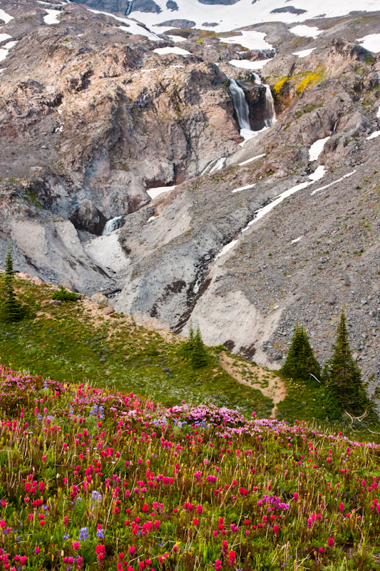 Wildflowers And West Van Trump Park Falls